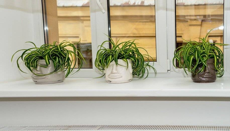 Фото Гостиницы Саквояж Санкт-Петербург 34